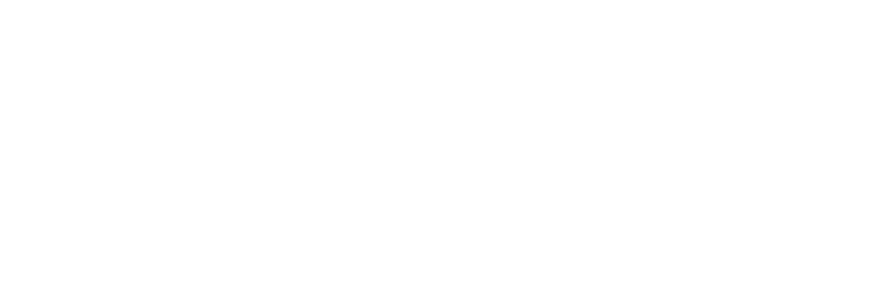 BloomSync